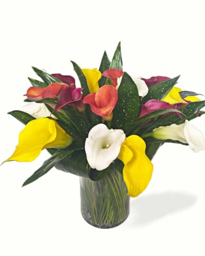 Calla Dance