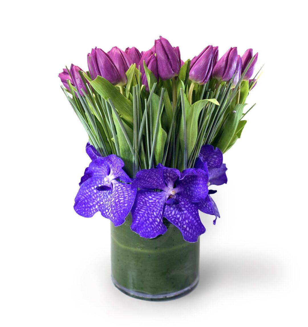Classic Purple - Image 1