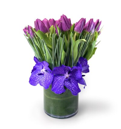 Classic Purple