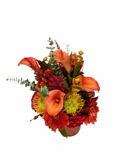 Apricot - Image 3