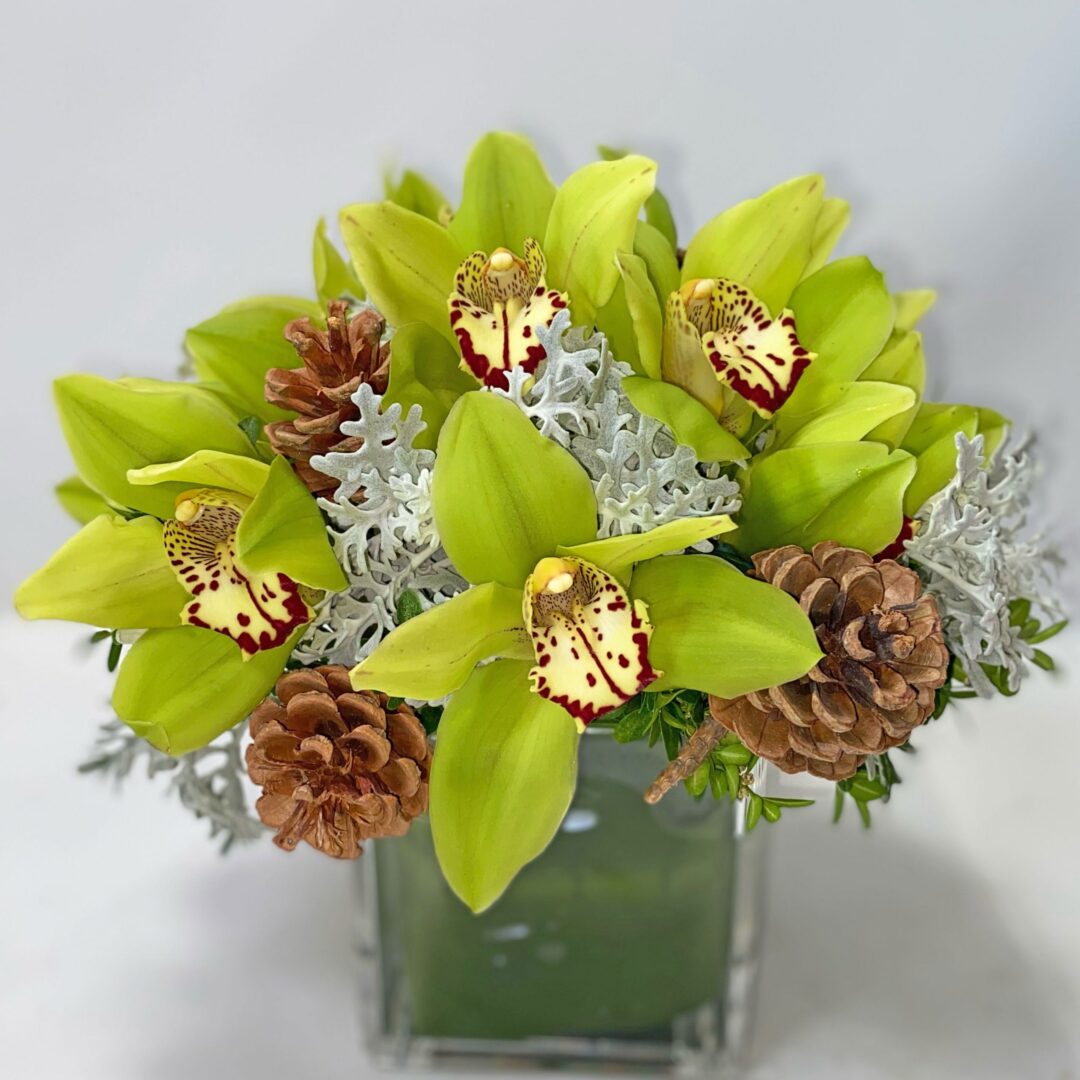 Festive Orchids - Image 1