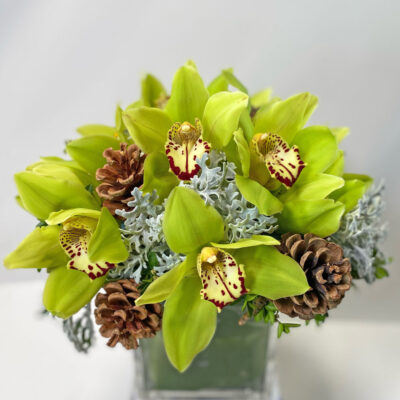 Festive Orchids - Image 2