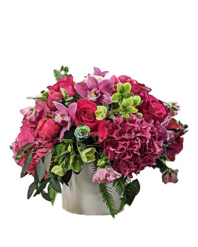 Fuchsia Beauty
