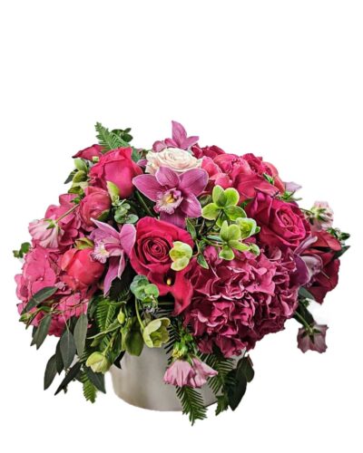 Fuchsia Beauty - Image 2