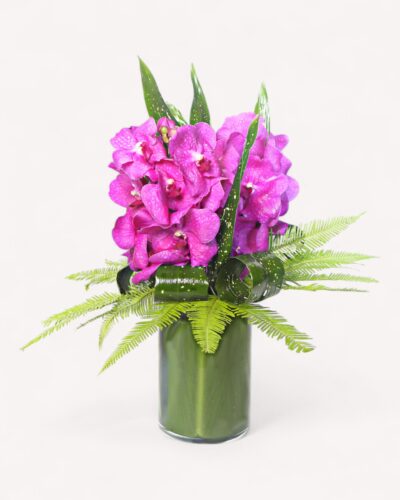 Pink Vanda