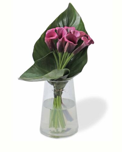 Purple Calla Class