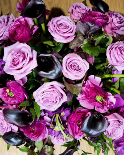 Royal Plum - Image 2