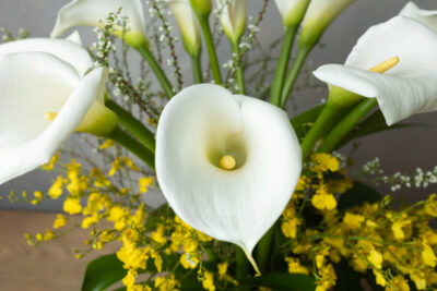 Moonlit Blossoms - Image 2