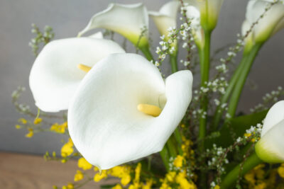 Moonlit Blossoms - Image 3