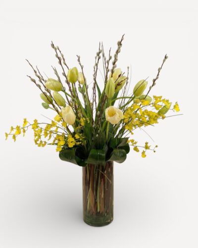 Tulipe d’Hiver