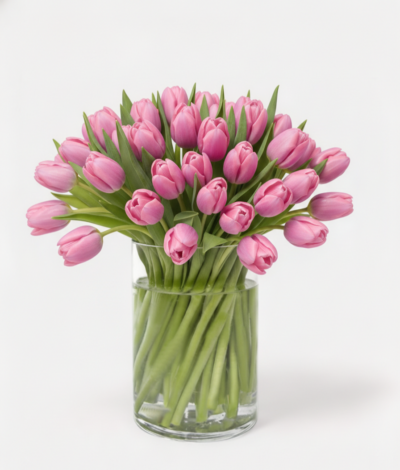 Elegant Tulips