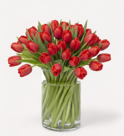 Elegant Tulips - Image 2