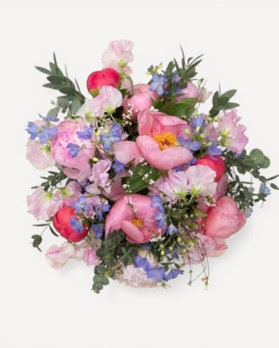 Sweet Peony - Image 2