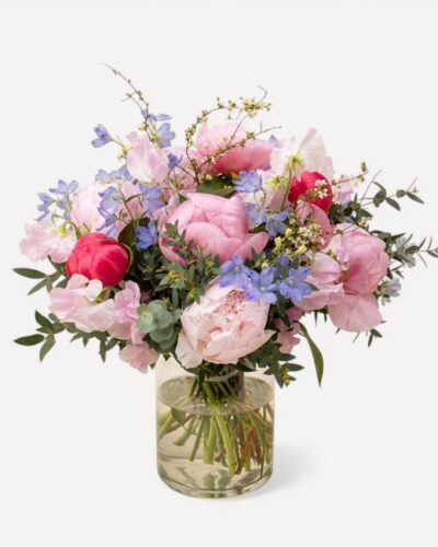 Sweet Peony