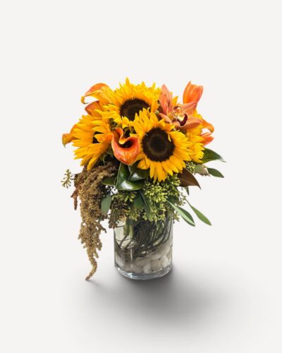 Harvest Glow - Image 3