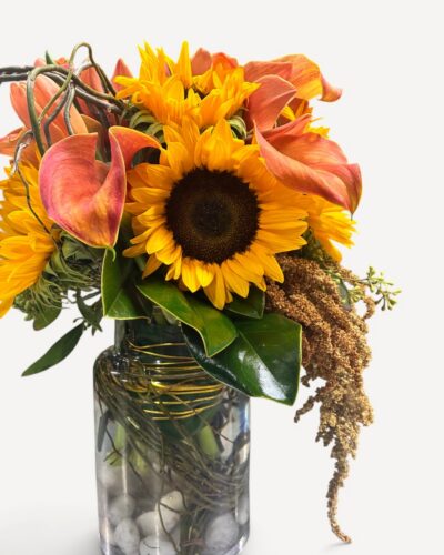 Harvest Glow - Image 2
