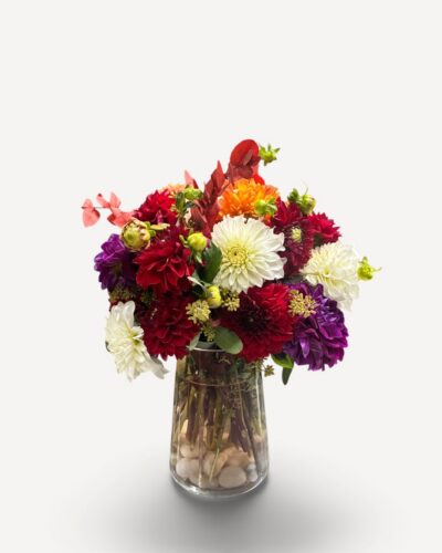 The Dahlia Edit - Image 2