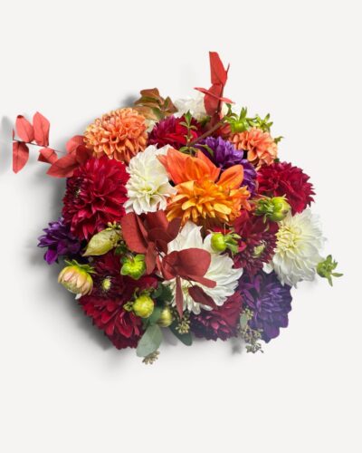 The Dahlia Edit - Image 3