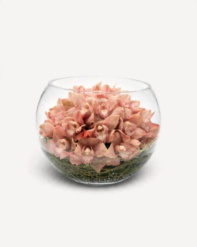 Orchid Sunset Bowl